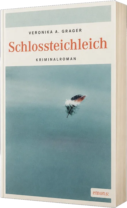Buchcover von Schlossteichleich